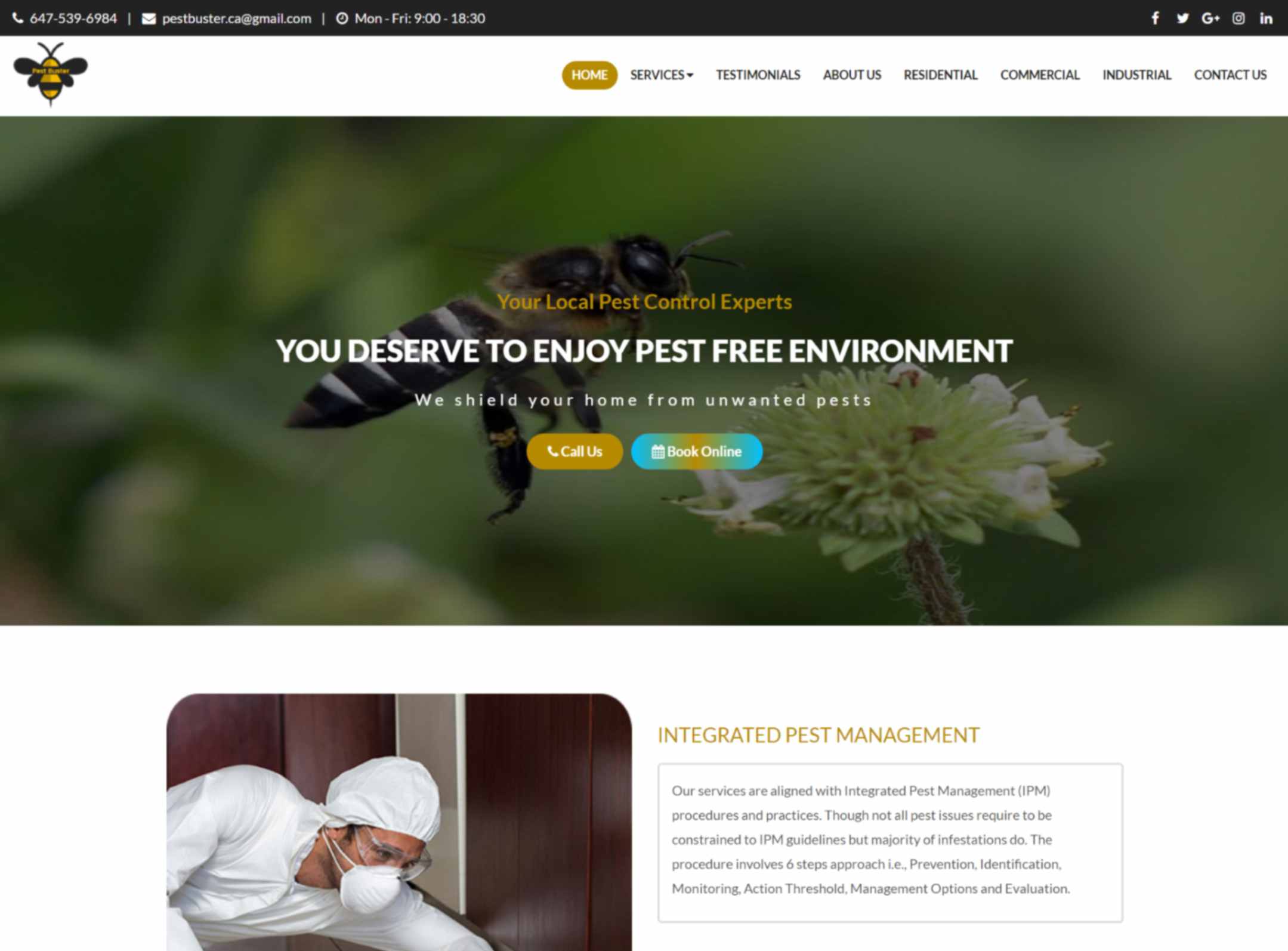 Plants BD-Softgenius IT